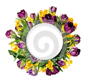 Purple peony tulips and yellow narcissus flowersin a round frame