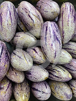 Purple Pepino melons are oval and have an elongated shape that tapers to a point at the end