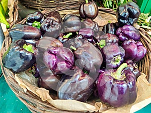 Purple peppers for sale at MarchÃ© Saxe-Breteuil, Paris, France