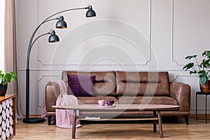 Purple pillow and pastel pink blanket placed on leather couch in real photo of bright sitting room interior with metal lamp, coffe