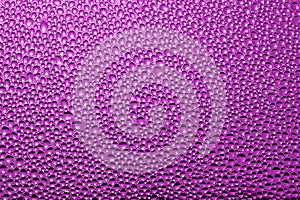 Purple pink background : water drops - Stock Photo