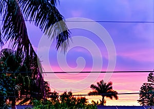 Purple and pink dawn in Miami