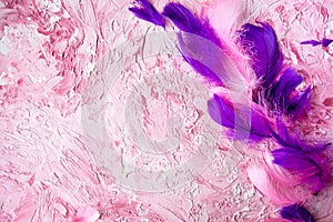 Purple and pink feathers on a textured pink background