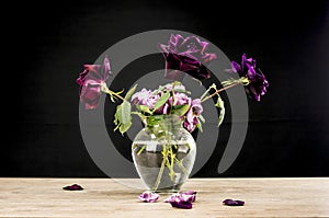Purple and pink flowers in vase