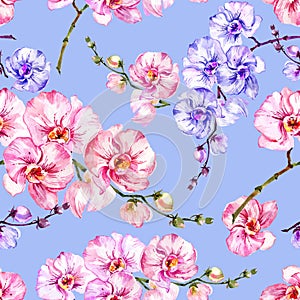 Purple and pink orchid flowers on bright blue background. Seamless floral pattern. Watercolor painting. Hand drawn illustration.