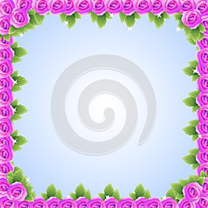 Purple pink roses frame