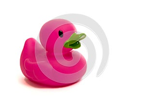 Purple, Pink Rubber Duck on white