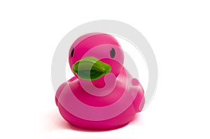 Purple, Pink Rubber Duck on white