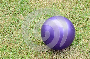 Purple Playground Ball