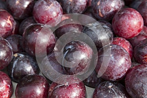 Purple Plum Background