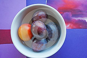 Purple plum, orange pluot still life, unusual backdrop