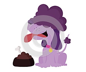 Purple Poodle