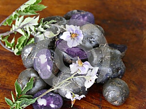 Purple Potatoes from New Zealand