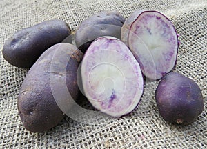 Purple potatoes Solanum tuberosum close up