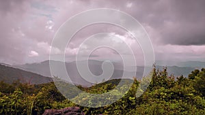 Purple Rain, Mountain Scene, Roan Mountain, Tennessee