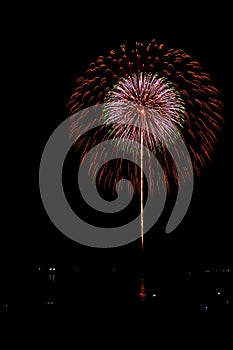 The purple and red color firework.