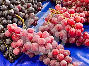 Purple and red grapes lined up on the counter at a farmers market