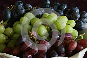 Purple, Red & Green Grapes