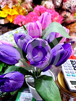 Purple represents maturity and admiration and can make a bouquet asa gift