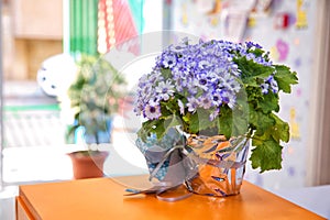 Purple ribbon flower . Beautiful bouquet of blue flowers in a small vase . Purpleviolet and white flowers on Selective focus bac