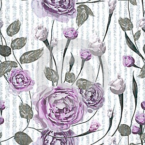 Purple rose flowers with leaves on striped blue and white background.