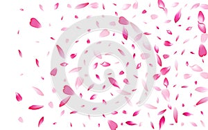 Purple Rose Petal Vector White Background. Color