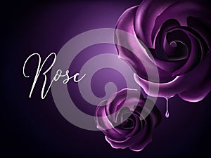 Purple roses elements