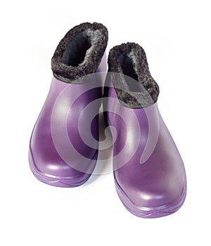 Purple rubber insulated galoshes isolated on white background