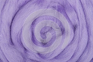 Purple sheep wool background texture