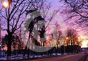 Purple sky Early morning in a small town. Lights are burning. Empty road. Dramatic sunset background. Russia