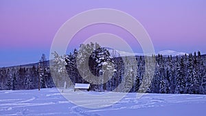 Purple Sky, Moon and Pinetrees in Swedish winter landscape of Are, Jamtland