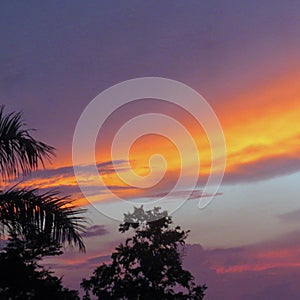 Purple sky at night in the tropics