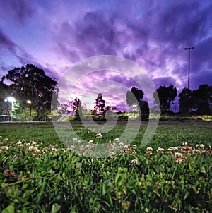 Purple sky @ West Epping Park, Sydney Australia