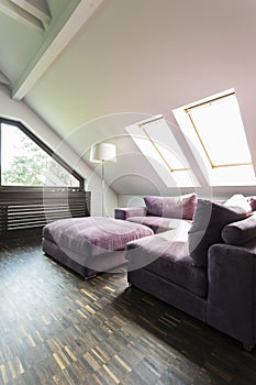 Purple sofa in attic lounge room
