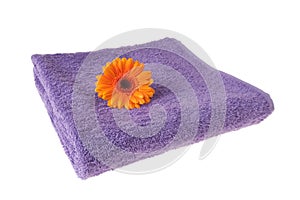 Purple Soft Towel