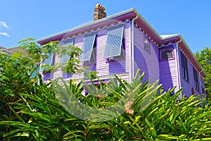 Purple southern house