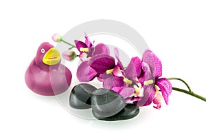 Purple spa set