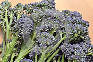 Purple sprouting Broccoli