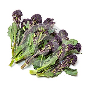 Purple sprouting broccoli