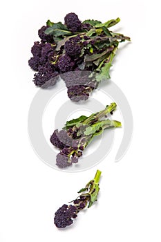 Purple sprouting broccoli