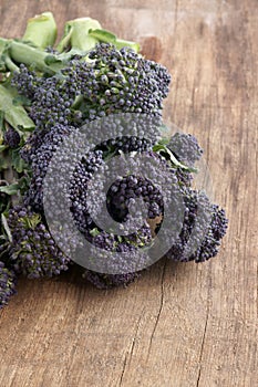 Purple sprouting broccoli photo