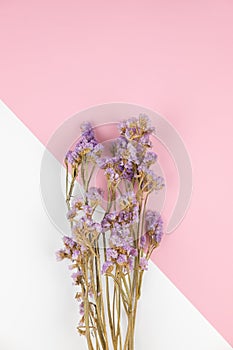 Purple statice flower bouquet on pastel pink and white background