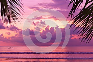 Purple sunset on the beach. View of the shore through palm leaves.