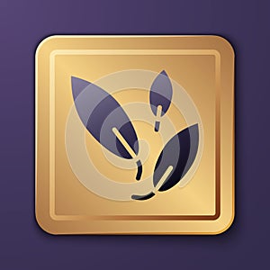 Purple Tea leaf icon isolated on purple background. Tea leaves. Gold square button. Vector