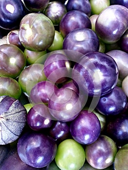 Purple Tomatillo