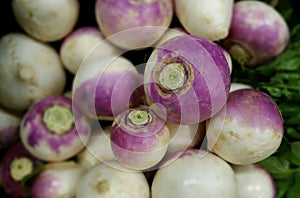 Purple Top Turnips