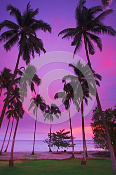 Purple tropical sunset