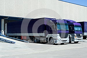 Purple Trucks