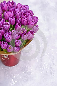 Purple tulips in bucket on gray background