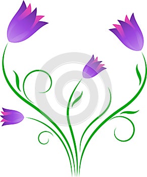 Purple Tulips, Flowers Illustration